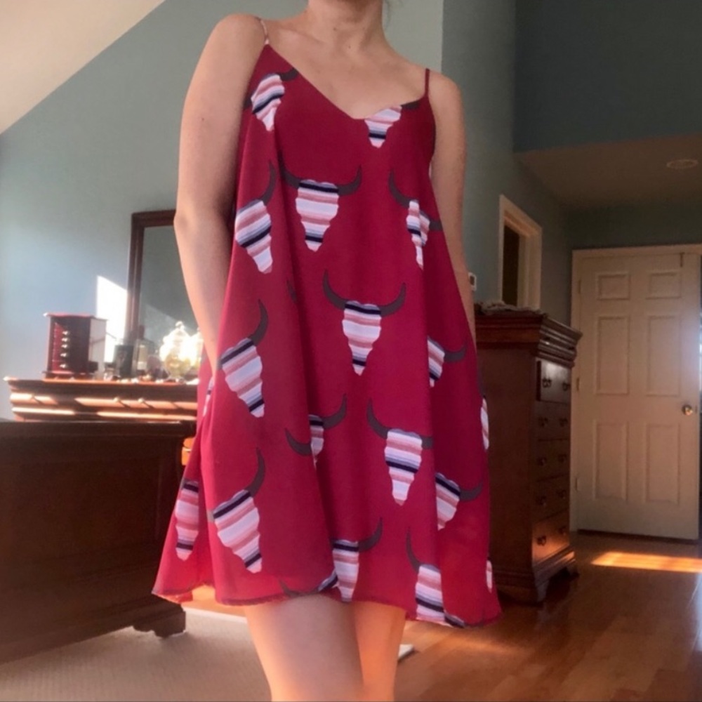 Altar’d State Longhorn Swing Dress